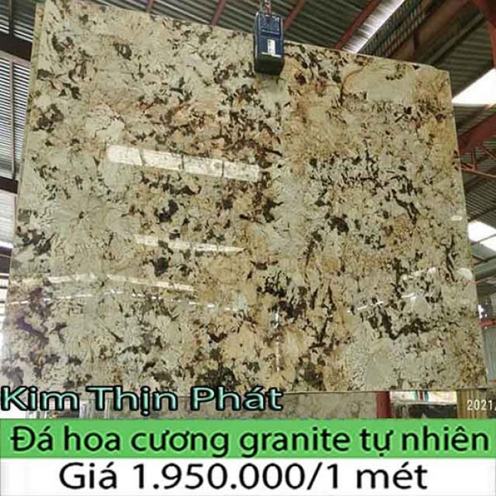 Đá hoa cương 503 Đá hoa cương 503